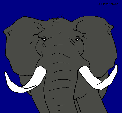 Dibujo Elefante africano pintado por RobertoVV