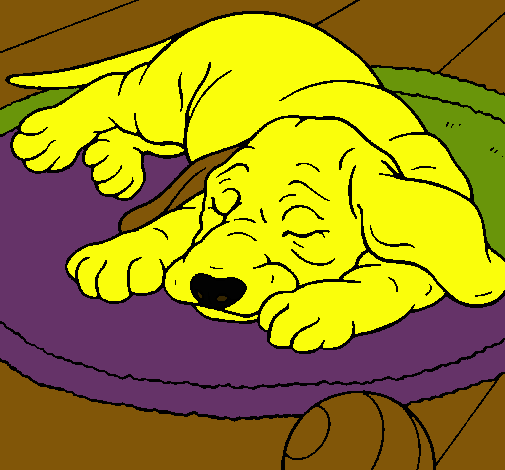 Dibujo Perro durmiendo pintado por Rauly