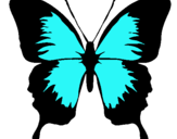 Dibujo Mariposa con alas negras pintado por marlene14-22