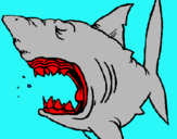 Dibujo Tiburón pintado por ALEIX