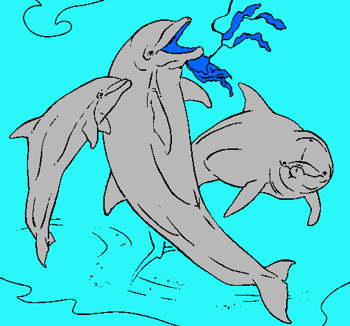 Dibujo Delfines jugando pintado por leonardili