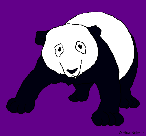 Dibujo Oso panda pintado por Monicax
