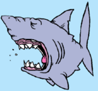 Dibujo Tiburón pintado por esteban-4