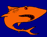 Dibujo Tiburón pintado por alexroberto