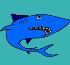 Dibujo Tiburón pintado por izco