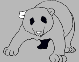 Dibujo Oso panda pintado por KHJVGKBHXVH