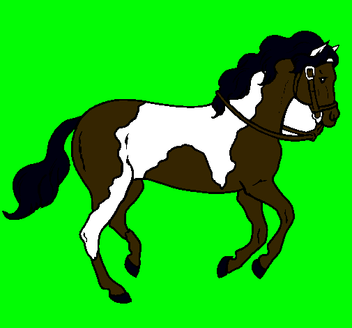 Dibujo Caballo 5 pintado por jared200