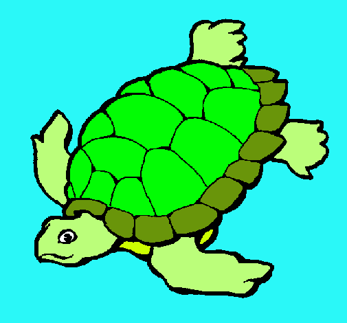 Dibujo Tortuga pintado por Susejp