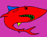Dibujo Tiburón pintado por maxxam