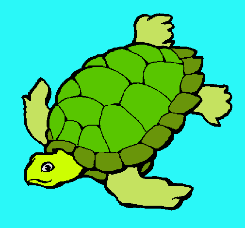 Dibujo Tortuga pintado por mirey