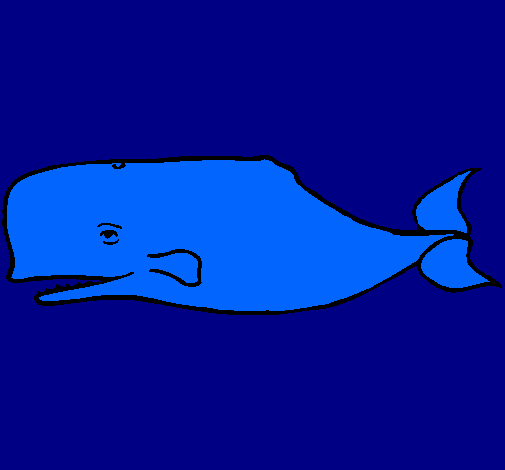 Dibujo Ballena azul pintado por jared200