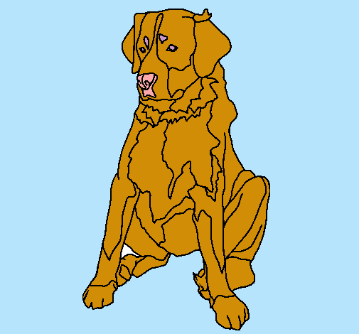 Dibujo Labrador pintado por cachorra