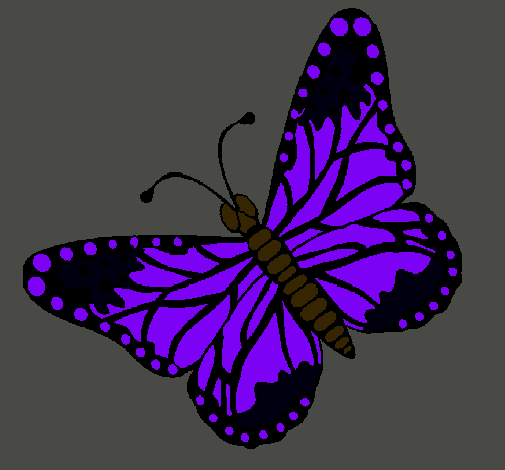 Dibujo Mariposa 4 pintado por nadiita