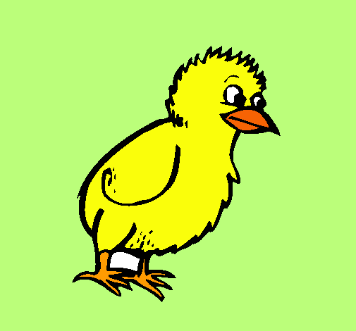 Dibujo Pollito pintado por zairaa