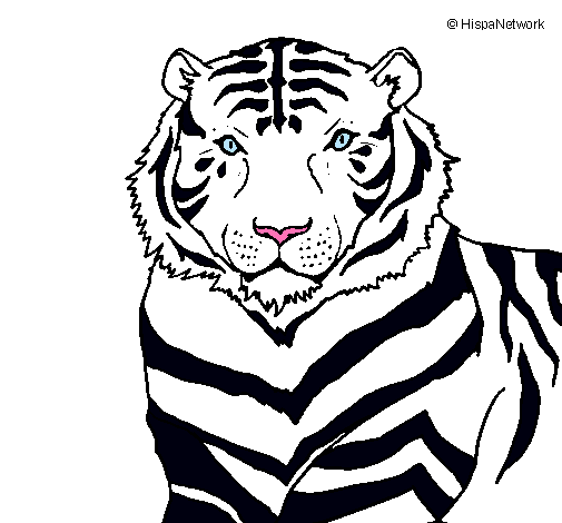 Dibujo Tigre pintado por edwinro