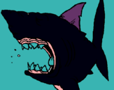 Dibujo Tiburón pintado por pepechito