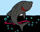 Dibujo Tiburón pintado por PSUKSA