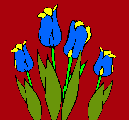 Dibujo Tulipanes pintado por Brujitaa