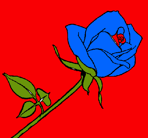 Dibujo Rosa pintado por Brujitaa
