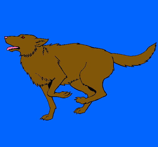 Dibujo Perro corriendo pintado por MatiasIsr