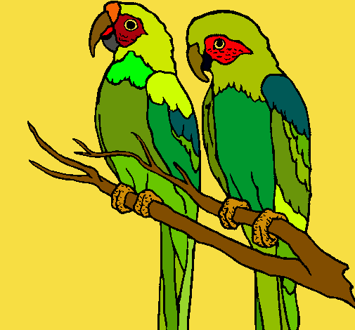 Dibujo Loros pintado por milgen