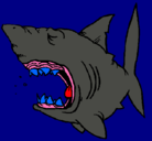 Dibujo Tiburón pintado por andrik