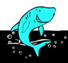Dibujo Tiburón pintado por bauuutyy