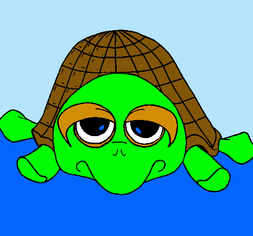 Dibujo Tortuga pintado por alejandro9