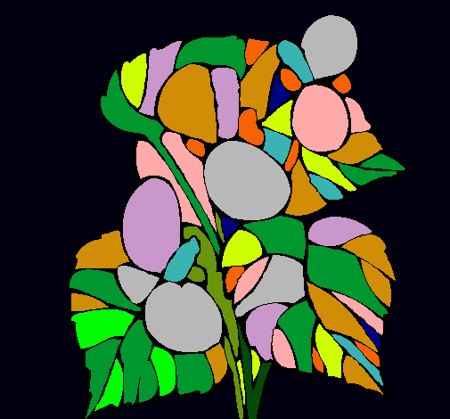 Dibujo Begonia pintado por Brujitaa