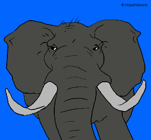 Dibujo Elefante africano pintado por guajololot