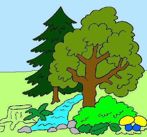 Dibujo Bosque pintado por hatsiri