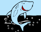 Dibujo Tiburón pintado por rody