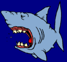 Dibujo Tiburón pintado por jerororororo