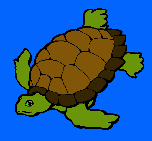 Dibujo Tortuga pintado por lizete