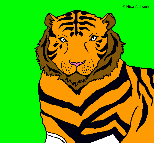 Dibujo Tigre pintado por JAUMEEE