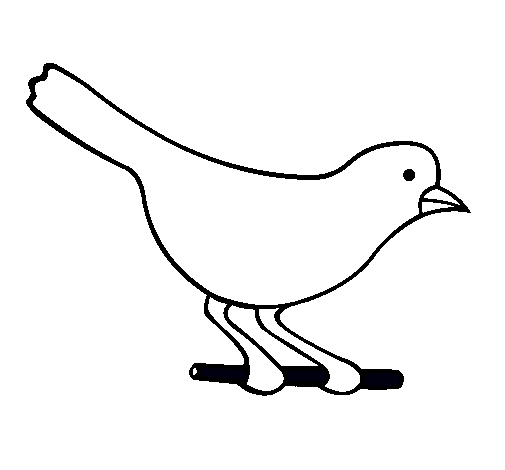 Pájaro 4
