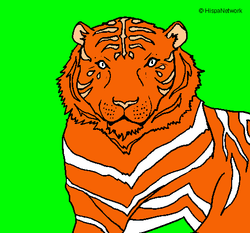 Dibujo Tigre pintado por brallan