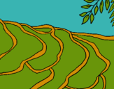 Dibujo Campos de arroz pintado por aladino