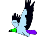 Dibujo Águila volando pintado por enso