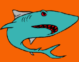 Dibujo Tiburón pintado por XIAN