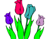 Dibujo Tulipanes pintado por iriana