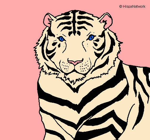 Dibujo Tigre pintado por lizete