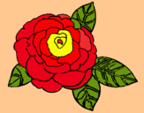 Dibujo Rosa pintado por aladino