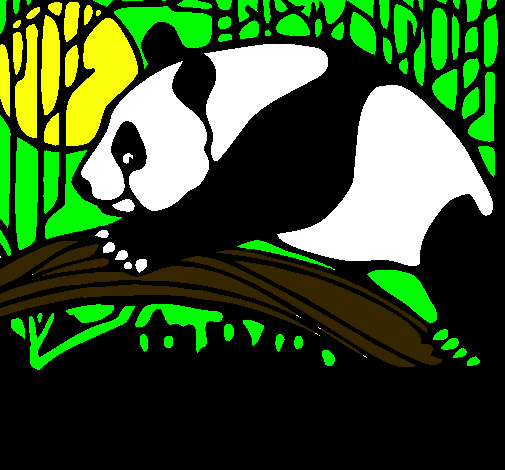 Dibujo Oso panda comiendo pintado por richi14