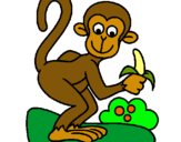 Dibujo Mono pintado por emcm