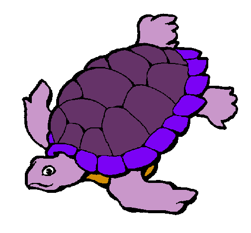 Dibujo Tortuga pintado por pao32