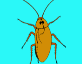 Dibujo Cucaracha grande pintado por 1597532648