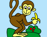 Dibujo Mono pintado por axel07