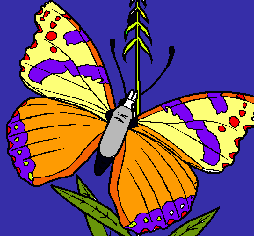 Dibujo Mariposa pintado por aladino