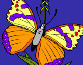 Dibujo Mariposa pintado por aladino